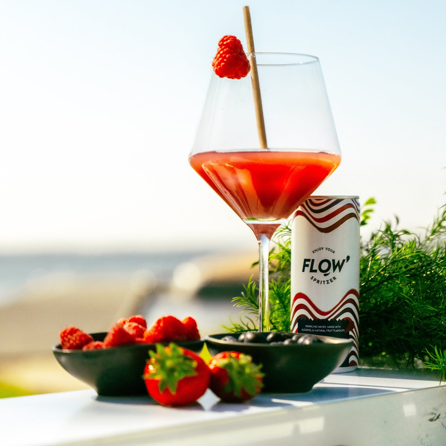 12 PACK | BERRY BOOST | 12x 250 ml | inc. statiegeld